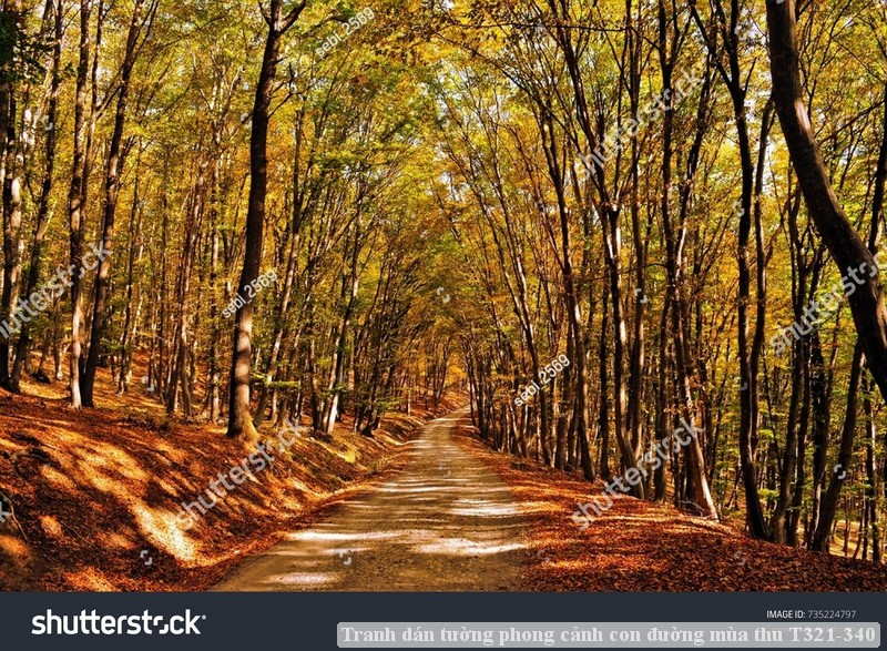 Tranh dán tường phong cảnh hồ thác, cây cối T321-506